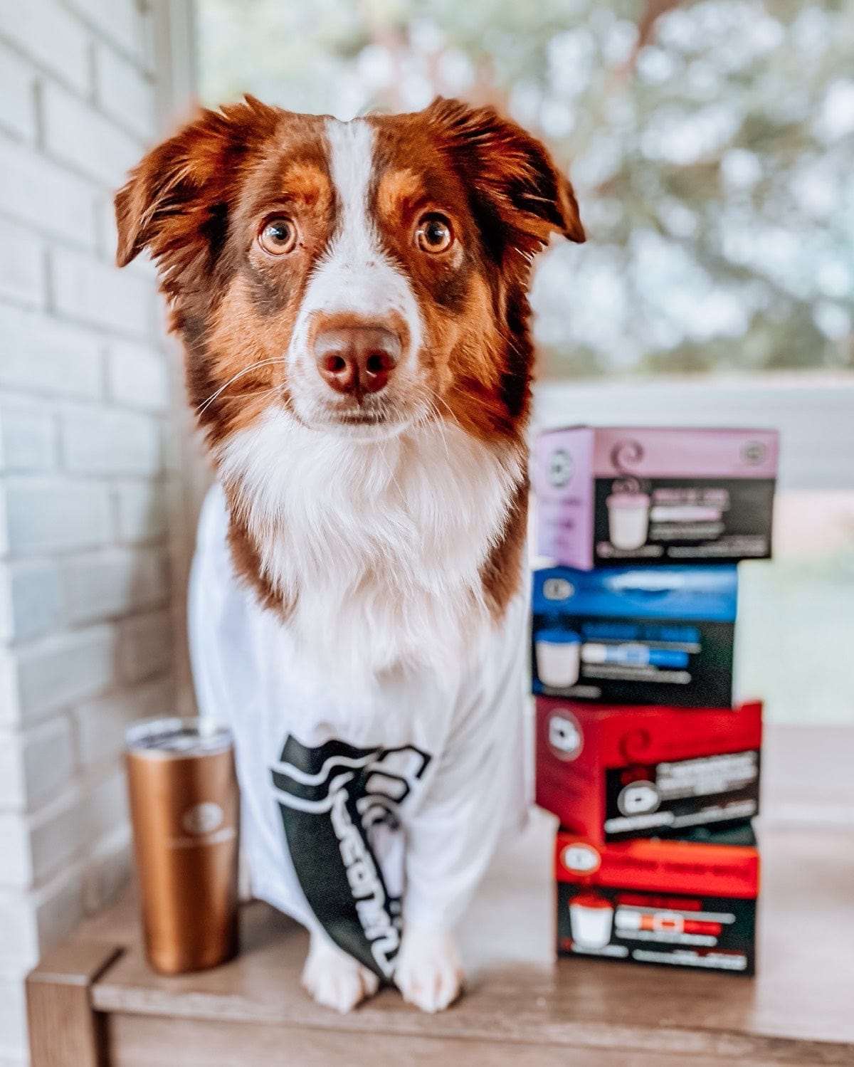 Blueberry Cobbler Flavored Coffee Pods - Image 5